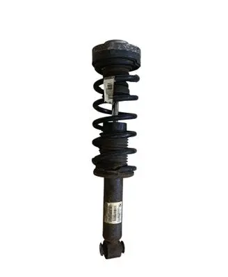 BMW X3 F25 Rear shock absorber with coil spring 6796317