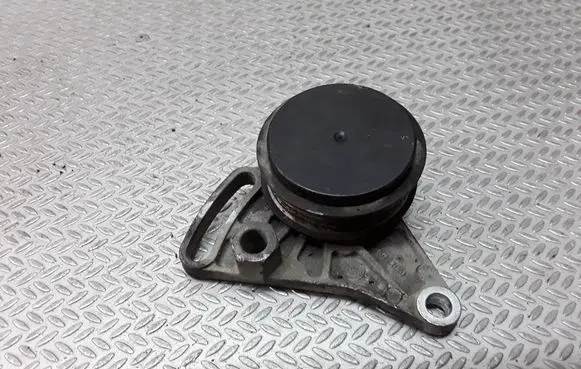 Volkswagen PASSAT B5.5 Air conditioning tensioner 058260511