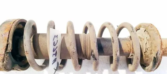 Rear coil spring