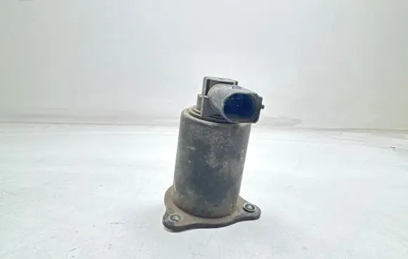 Renault Kangoo I EGR valve 53339606