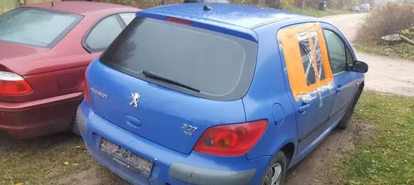 Peugeot 307 Rear door window glass AS2 FILM