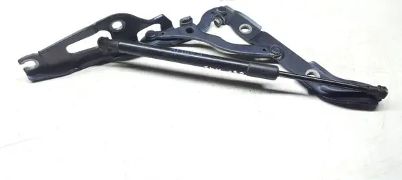 BMW 1 E82 E88 Tailgate/trunk/boot hinge 716675103
