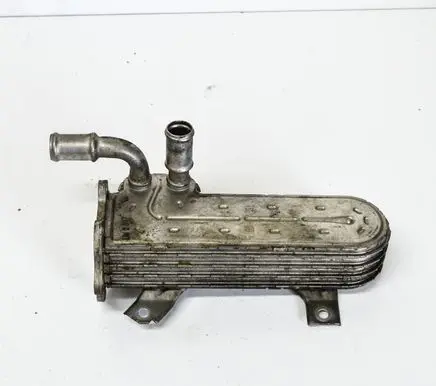 Volkswagen Jetta V EGR valve cooler 038131513AD