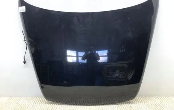 Engine bonnet/hood