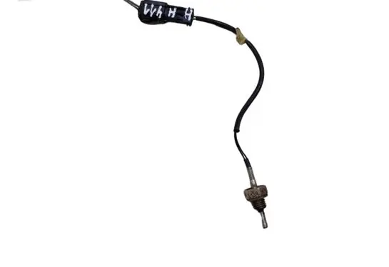 Exhaust gas temperature sensor