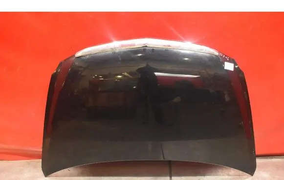 Engine bonnet/hood