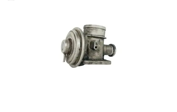 BMW 3 E46 EGR valve 7785452 72826400 0217091