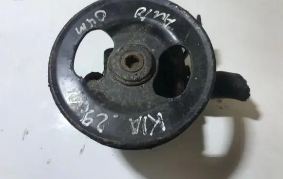 KIA Carnival Power steering pump