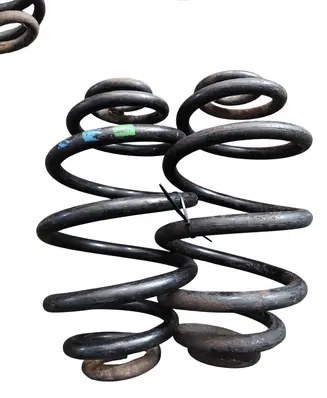 Rear coil spring