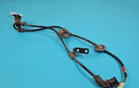 Other wiring loom