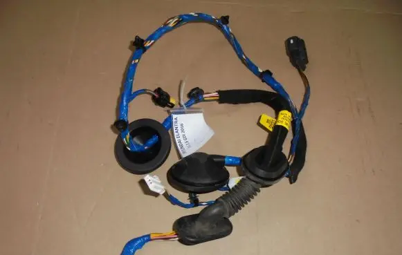 Rear door wiring loom