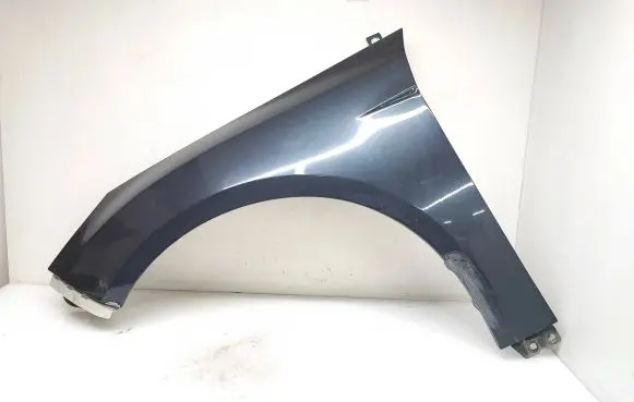 Ford Focus Fender