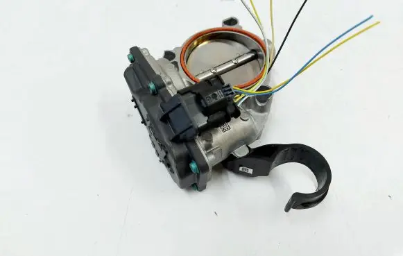 Throttle body valve