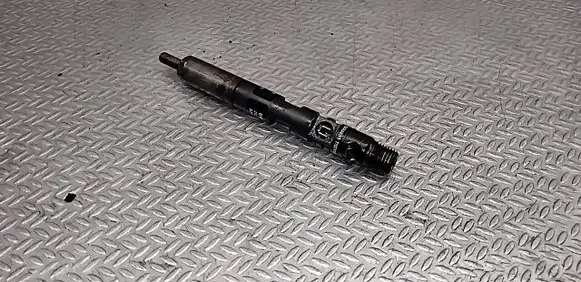 Renault Clio III Fuel injector 28237259 H8200827965