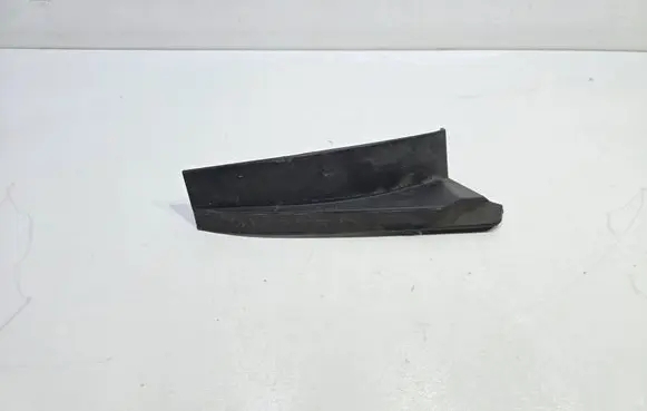 Rear/tail light trim molding
