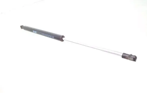 Tailgate/trunk strut/damper