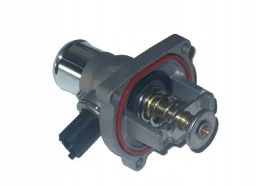 Thermostat/thermostat housing
