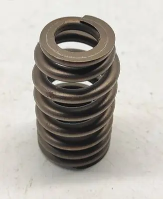 Dodge Challenger Valve spring 5037382BC