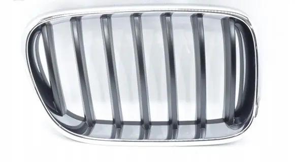 BMW X3 F25 Front bumper upper radiator grill 7210726