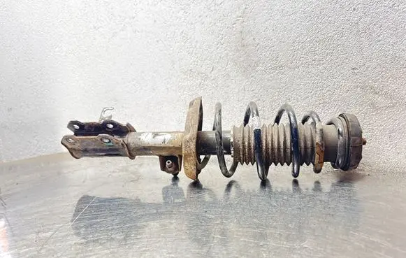Opel Astra J Front shock absorber/damper 13354025