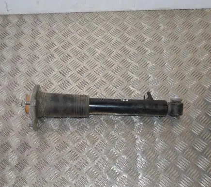 BMW X6 E71 Rear shock absorber/damper 6788512