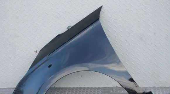 KIA Carens III Front wheel arch liner splash guards