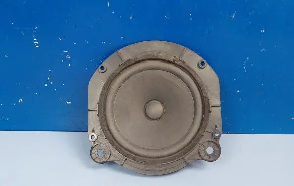 Tesla Model X Rear door speaker TMN105070900B
