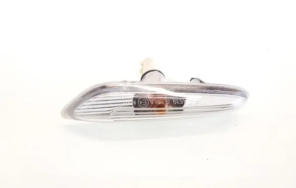Front fender indicator light