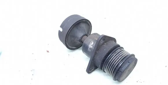 Ford Focus Alternator pulley 