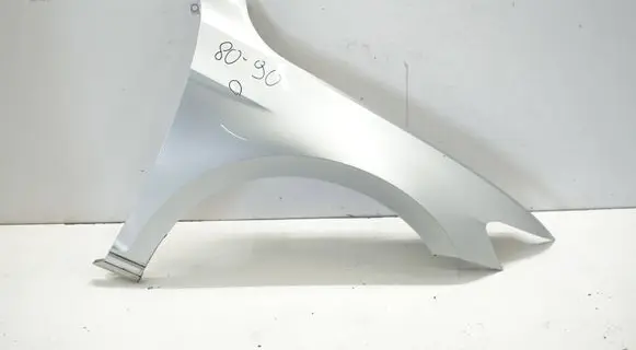 Volkswagen PASSAT B8 Fender B8070726BPP