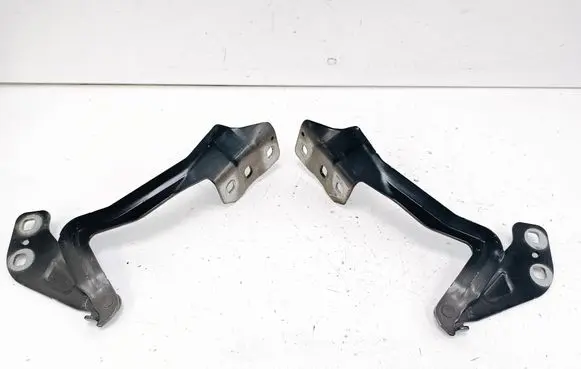 Engine bonnet/hood hinges