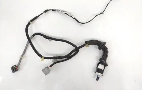Rear door wiring loom