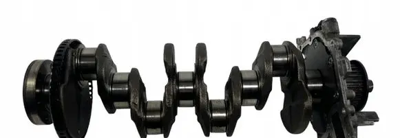Fiat Tipo Crankshaft 55221390