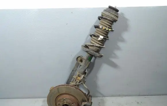 Fiat Tipo Front shock absorber with coil spring