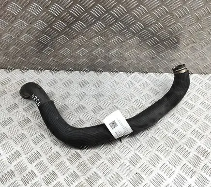 Maserati Quattroporte Engine coolant pipe/hose 670031870