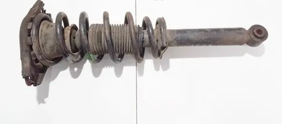 Nissan Primera Rear shock absorber/damper 56210av400