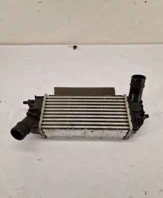 Ford Puma Intercooler radiator L1BG6D624AB