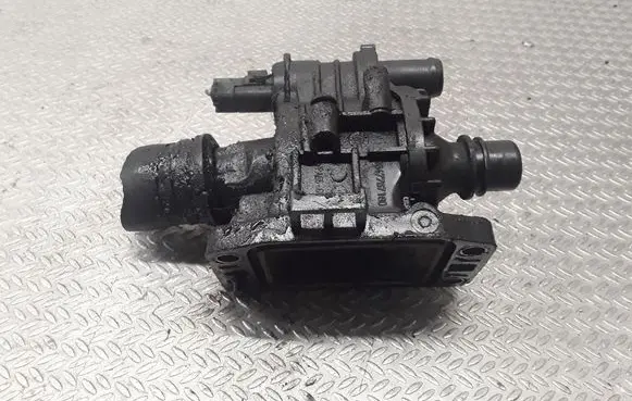 Thermostat/thermostat housing