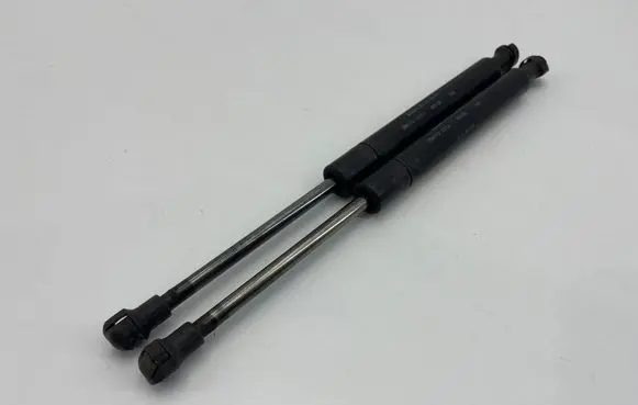 Tailgate/trunk strut/damper