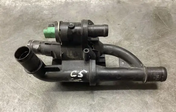 Thermostat/thermostat housing