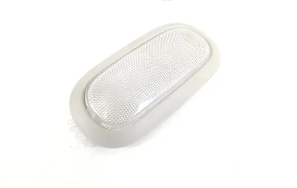 Dodge RAM Rear seat light 1BC77TRMAA