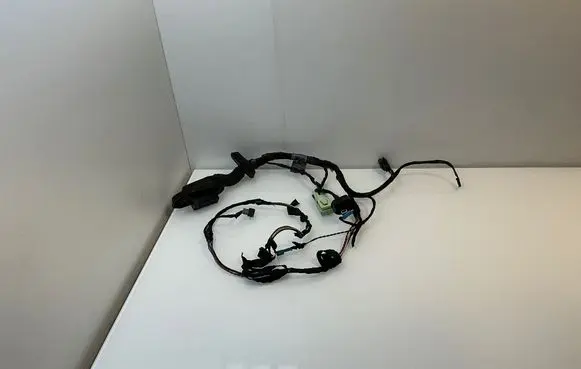 BMW Z4 E85 E86 Front door wiring loom 6986987 6954787