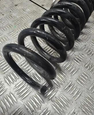 Rear coil spring