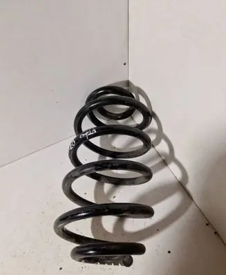 Rear coil spring