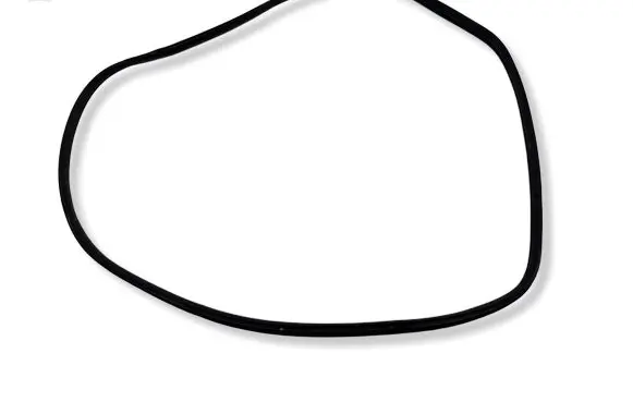 KIA EV6 Rear door rubber seal (on body) 