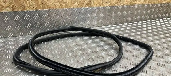 Toyota RAV 4 (XA40) Front door rubber seal