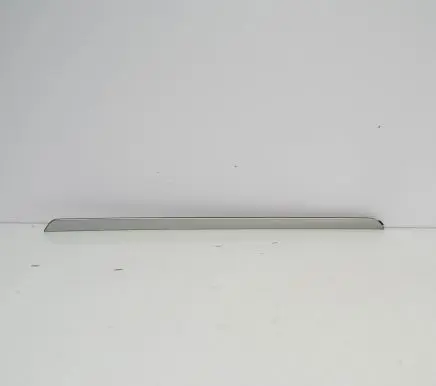 Volkswagen Jetta V Rear door card panel trim 1K4867449