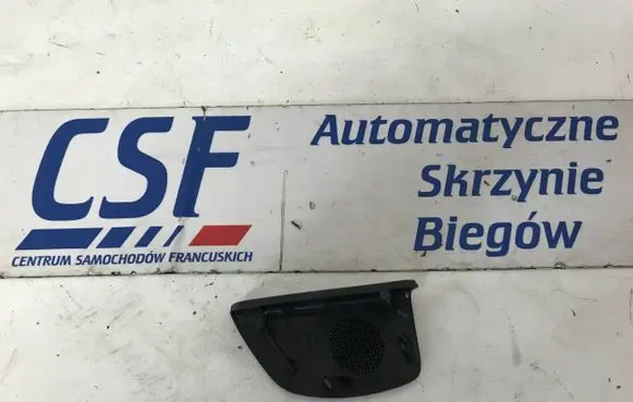 Ford Focus Side speaker trim/cover 07843001