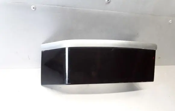 Rear/tail light trim molding
