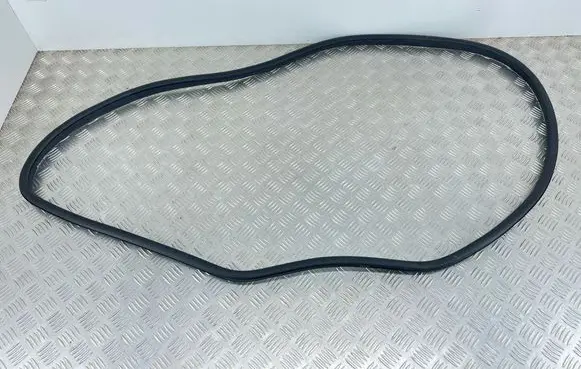 MG EHS Rear door rubber seal (on body) 10367145